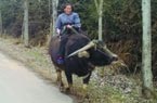 ��Ѯ��̫�ڹ�·��ţ��·