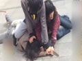 ���̿�ú����ͱԭ��