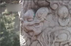 �ú�԰��������ͷ��ʧ
