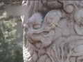 �ú�԰��������ͷ��ʧ