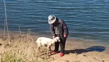 飡ȮȳˮС