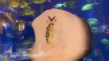 ħϰʱ䡰ͬ¡ǱˮԱæ