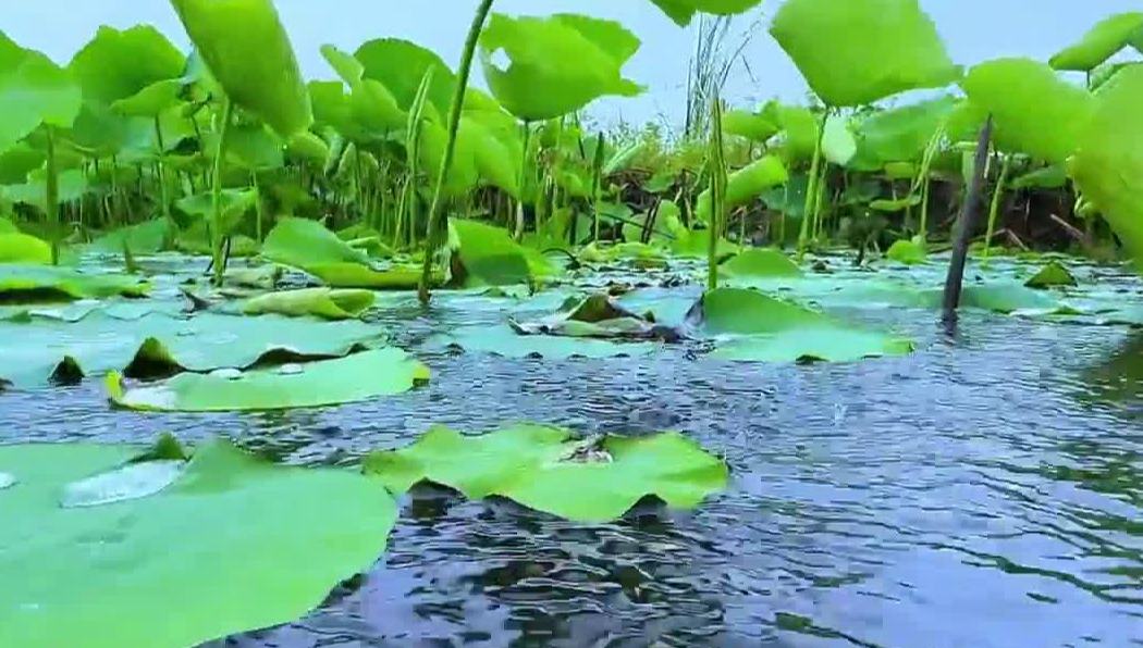 换一种视角看风景 原来童年的快乐如此简单
