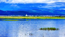 仲夏时节 云南香格里拉纳帕海风景如画