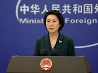 外交部：巴基斯坦副總理兼外長達爾將訪華